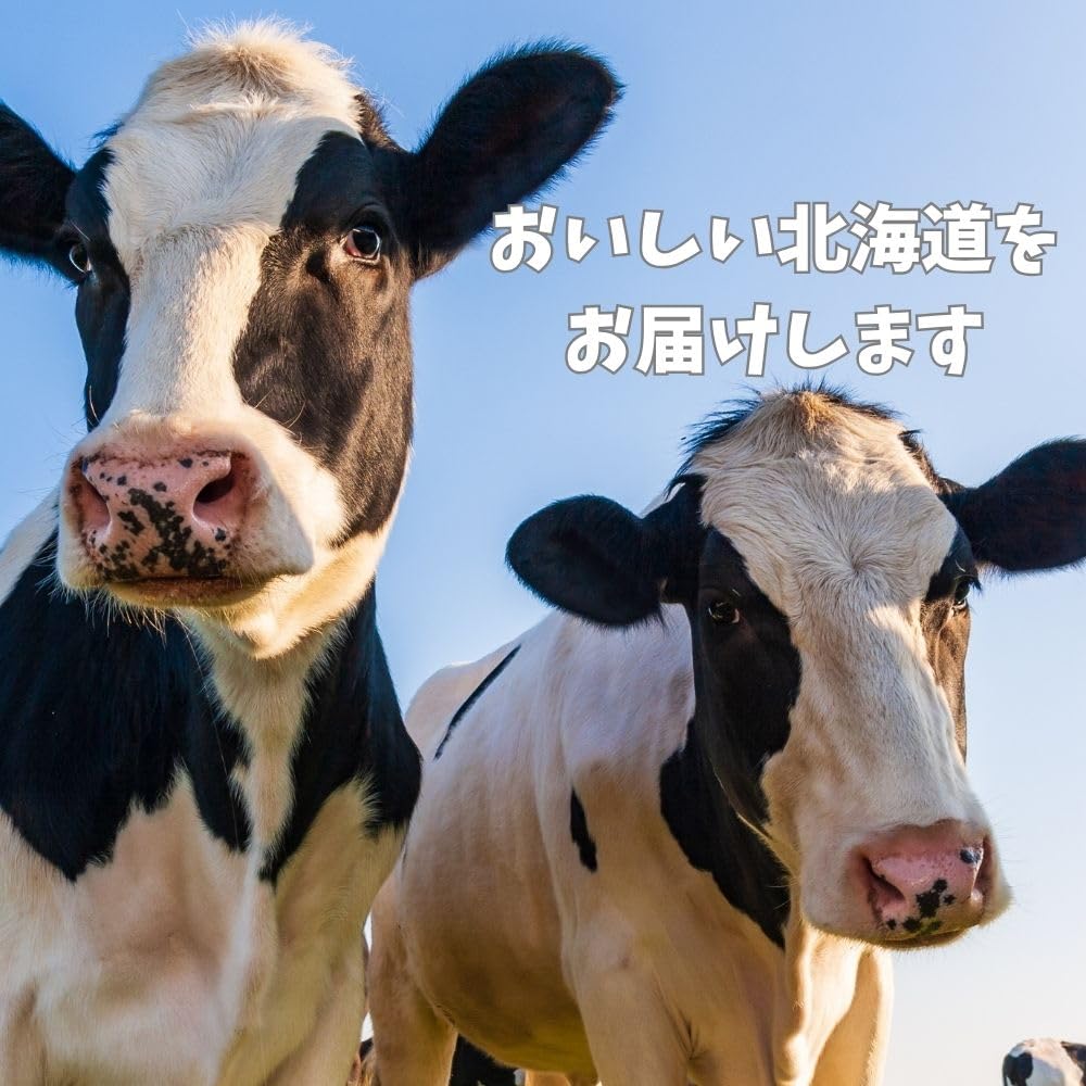 Amazon.co.jp: 北海道乳業 コンデンスミルク 12kg(1kg×12本) 業務用